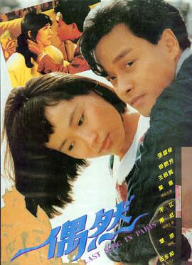 中华田园猫品种